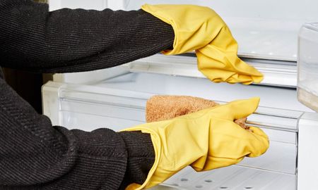 El truco infalible para limpiar tu heladera y que siempre este fresca: tres ingredientes caseros El truco infalible para limpiar tu heladera y que siempre este fresca: tres ingredientes caseros