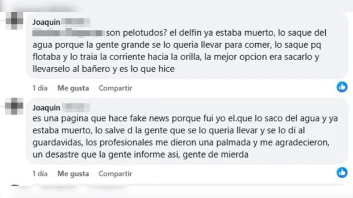 El descargo del joven que sacó del agua al un delfín en Mar del Tuyú. El descargo del joven que sacó del agua al un delfín en Mar del Tuyú.