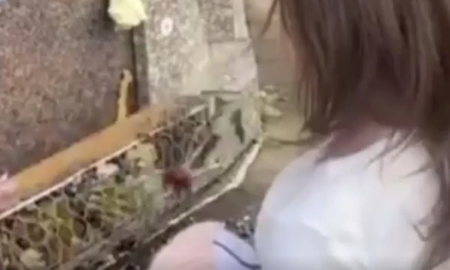 Niña fue al cementerio a visitar a su madre y al hablar con ella ocurrió algo inesperado: ¿qué pasó? Niña fue al cementerio a visitar a su madre y al hablar con ella ocurrió algo inesperado: ¿qué pasó?