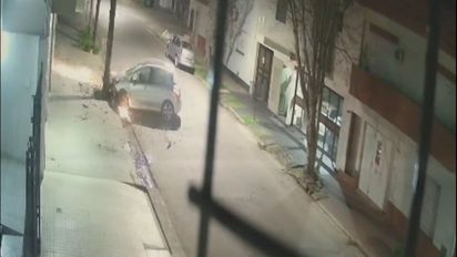 Video: así un hombre alcoholizado perdió el control del auto y atropelló un árbol en barrio Sur de Santa Fe