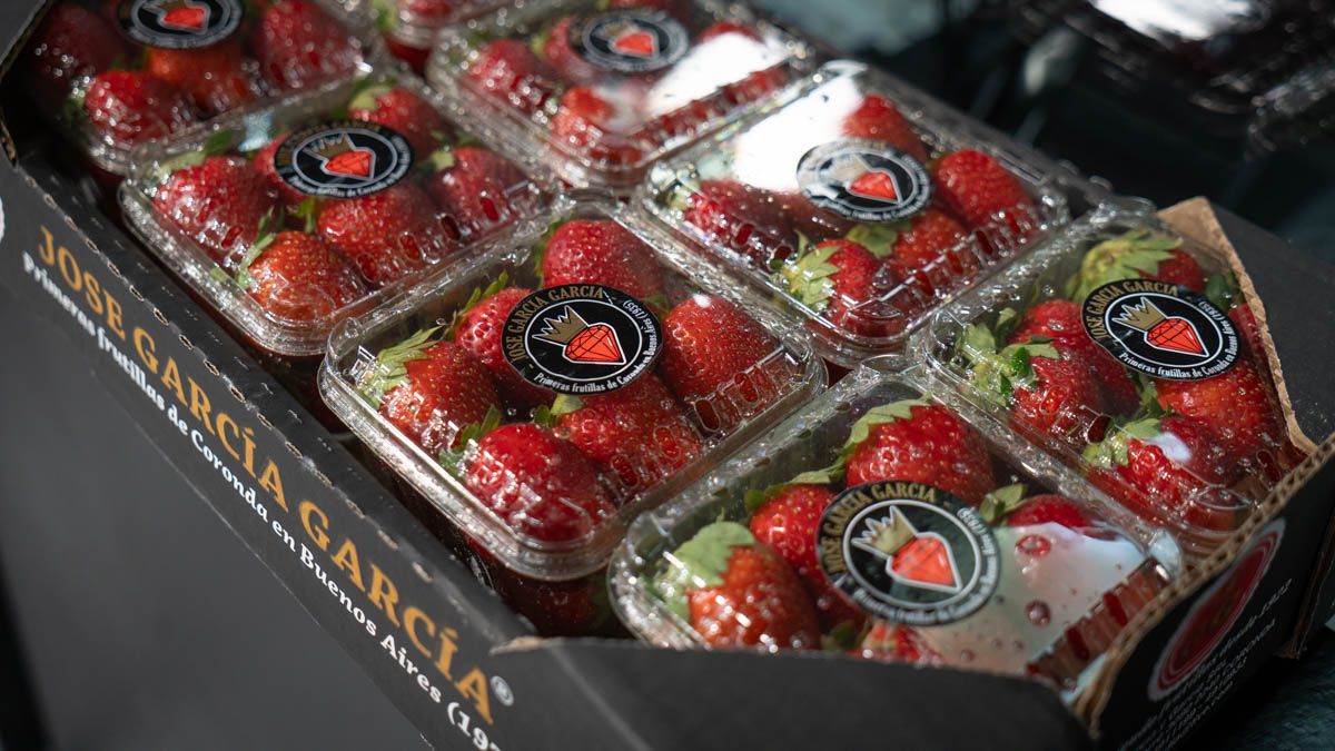 La frutilla cambió la economía, la cultura y hasta el ritmo de vida de Coronda. La frutilla cambió la economía, la cultura y hasta el ritmo de vida de Coronda.