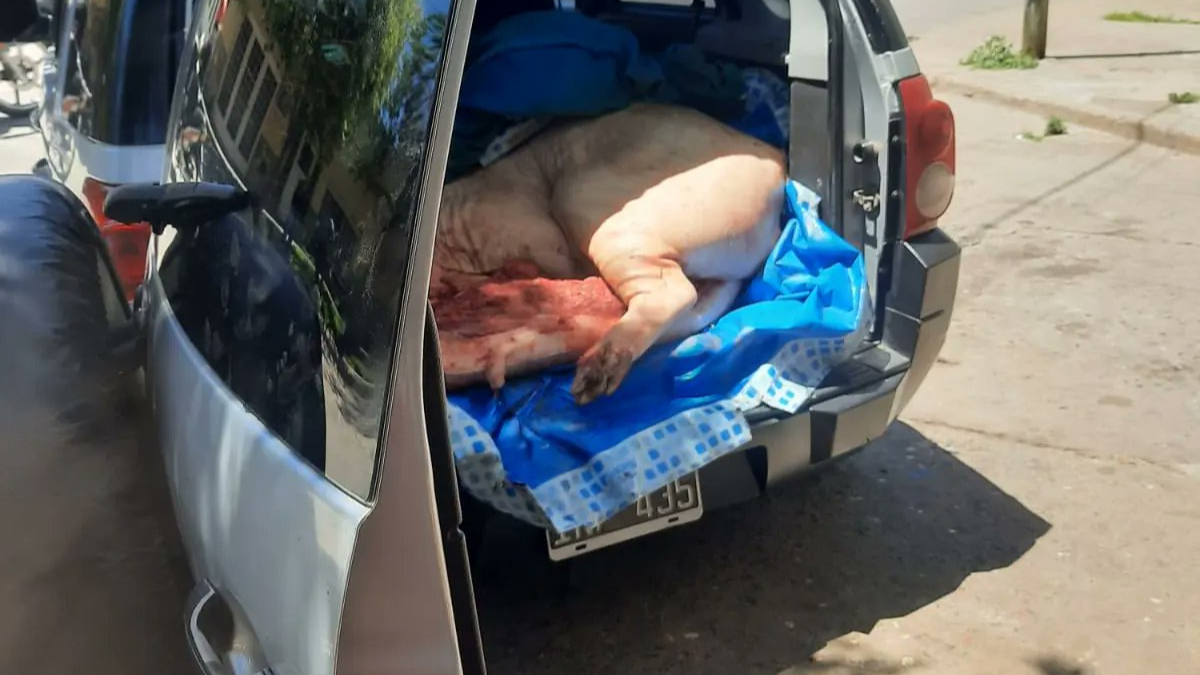 Una denuncia sobre posibles irregularidades originó el operativo que se realizó el martes a fines de constatar tanto la vigencia de la habilitación como las condiciones de higiene y salubridad del local.