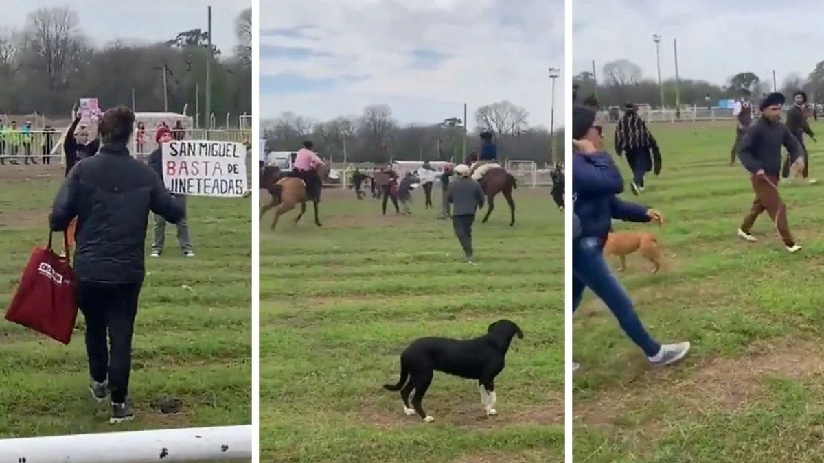 Una joven identificada como Juliana -que se definió "activista, antiespecista y anarcovegana"- aseguró que fue "autoconvocada" a la manifestación a la que sólo llevaron carteles. Una joven identificada como Juliana -que se definió "activista, antiespecista y anarcovegana"- aseguró que fue "autoconvocada" a la manifestación a la que sólo llevaron carteles.