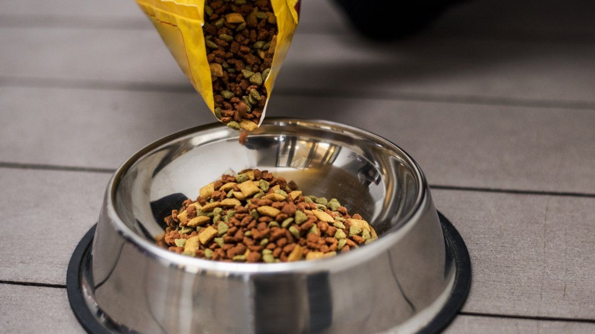 La industria de los alimentos balanceados es la de mayor peso específico dentro del conjunto de actividades de procesamiento del maíz.