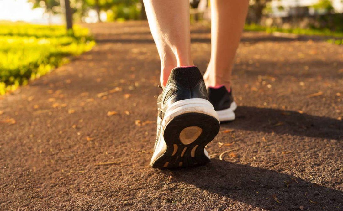 Una caminata diaria puede ser muy beneficiosa para nuestra salud, además de mantenernos con una buena silueta