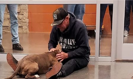 La conmovedora reacción de un perro al reencontrarse con su dueño tras 200 días separados La conmovedora reacción de un perro al reencontrarse con su dueño tras 200 días separados