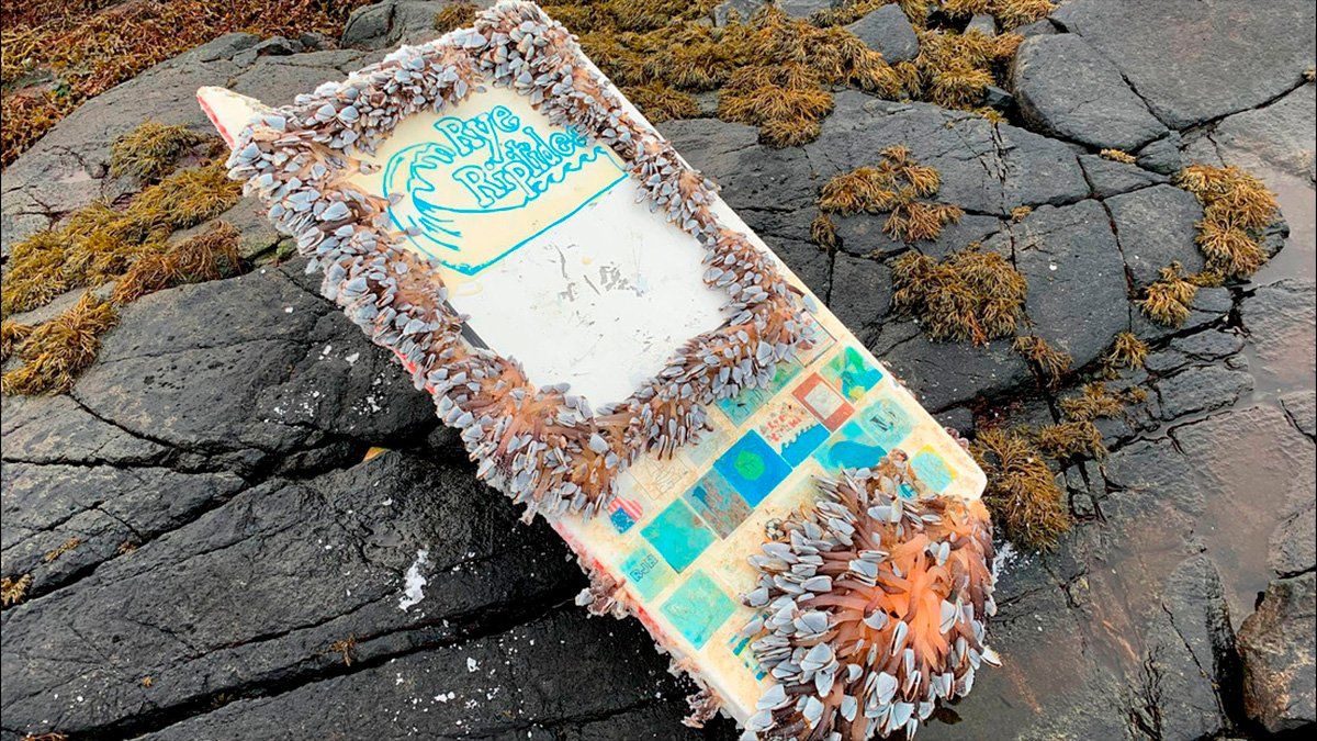 La historia se volvió furor en las redes sociales.