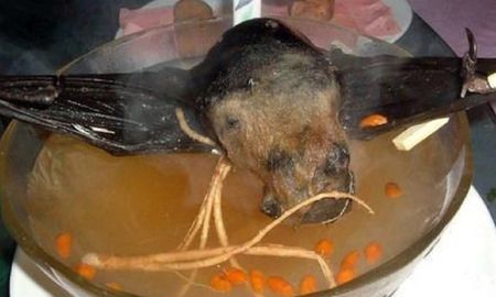 Sopa de murciélago Sopa de murciélago