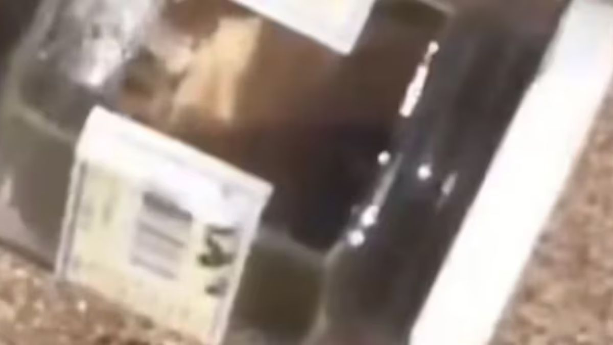 El hallazgo en la playa expuso una pr&aacute;ctica religiosa que deriv&oacute; en una causa judicial.