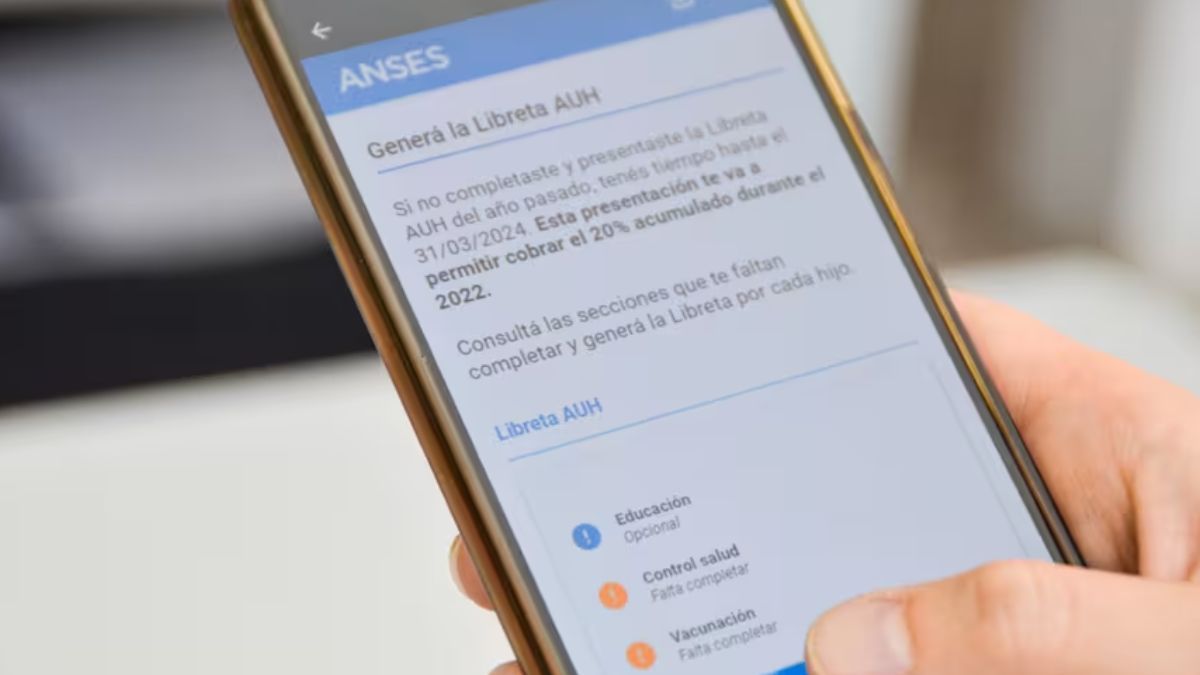Ya se puede realizar el trámite para cobrar el 20% retenido durante 2024: el paso a paso para presentar la Libreta AUH.
