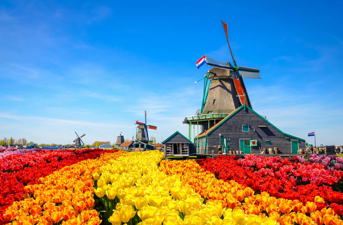 Holanda ofrece trabajo para argentinos con sueldos de casi $244.000 por mes: los rubros y requisitos