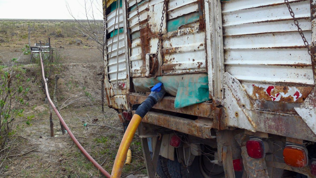 En algunas zonas de 9 de Julio se acarrea agua para bebida de la hacienda. Foto: Juan Manuel Fernández En algunas zonas de 9 de Julio se acarrea agua para bebida de la hacienda. Foto: Juan Manuel Fernández