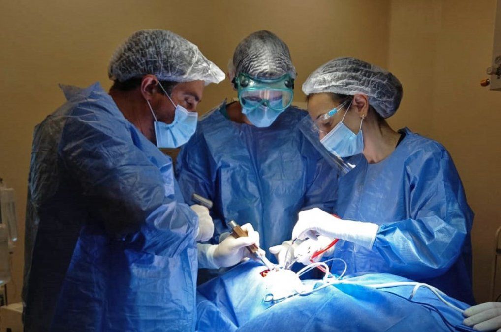 En diciembre del 2020 se realizó la primera cirugía de estas características en el hospital Alassia.