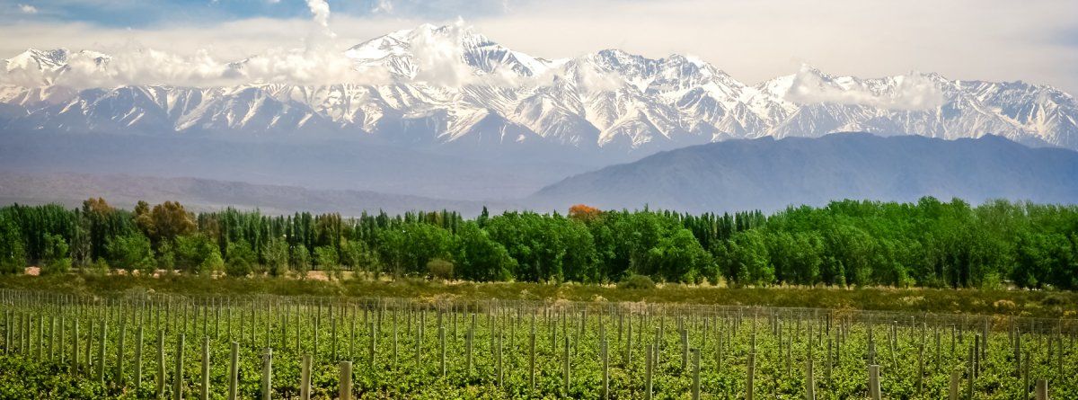 Mendoza es el único lugar de Argentina recomendado por Forbes 