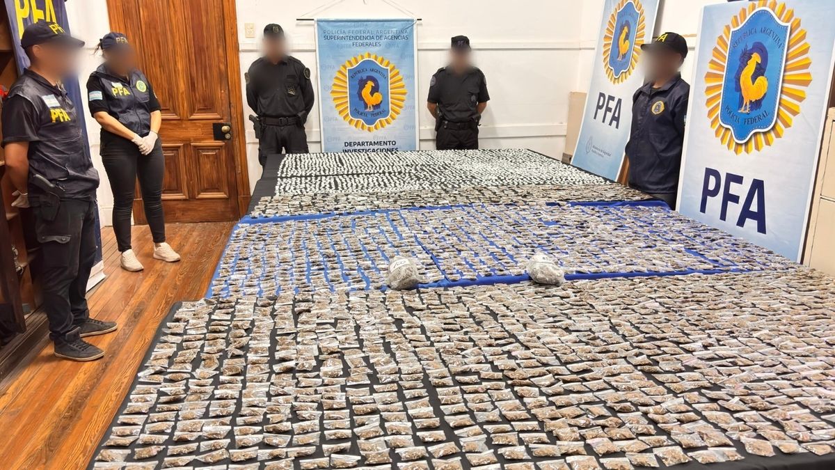 El DFI desbarató y detuvo a 9 integrantes de una organización nacocriminal vinculada al morocho Mansilla.