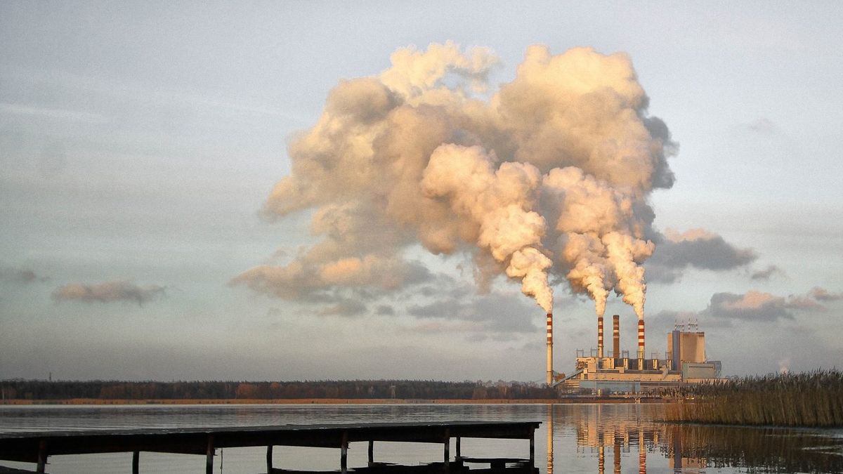 Las partidas destinadas al ministerio de Ambiente en 2021 son de 8.334 millones de pesos