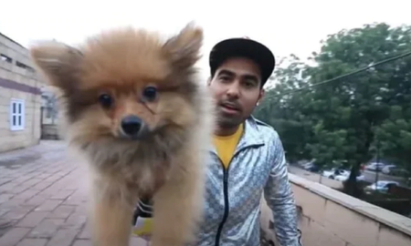 Video viral: un youtuber ató un perro a unos globos con helio y luego fue detenido por la policía. Video viral: un youtuber ató un perro a unos globos con helio y luego fue detenido por la policía.