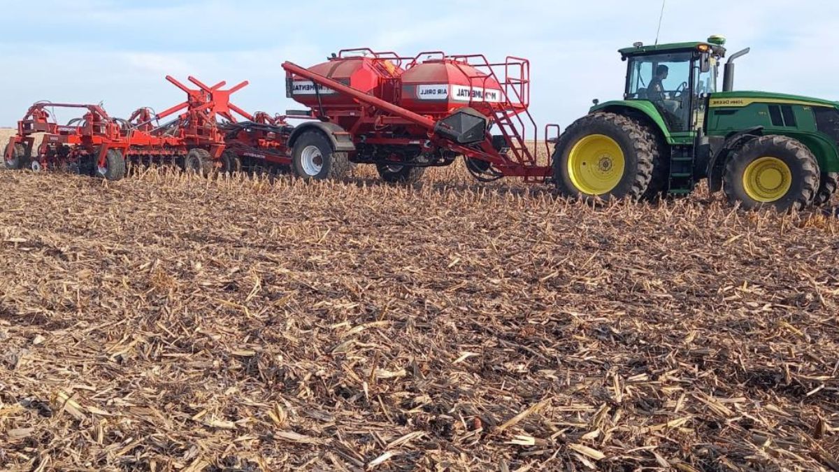 Lote con rastrojo de maíz temprano; en pleno proceso de siembra de trigo. Centro del departamento Castellanos. 