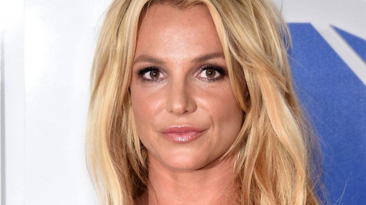 La cantante mostró a un seguidor que cambiaba la bandera de EE.UU por la del movimiento #FreeBritney. Qué escribió.