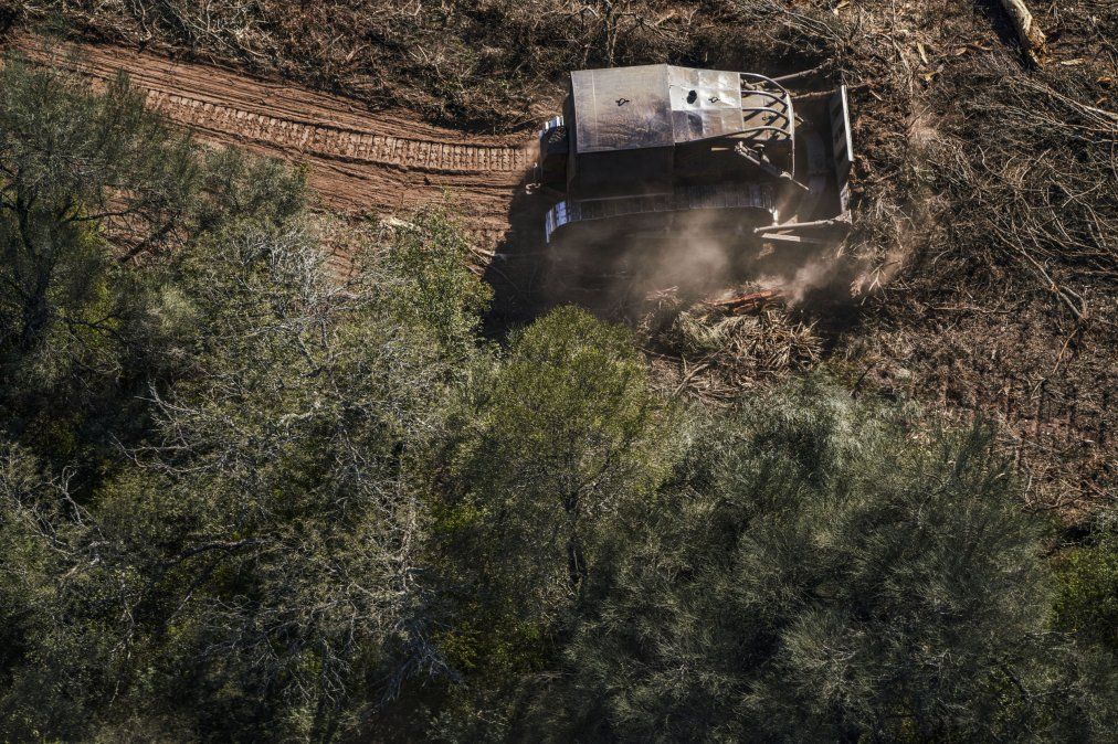 El Gran Chaco argentino está entre las regiones con mayor deforestación mundial.