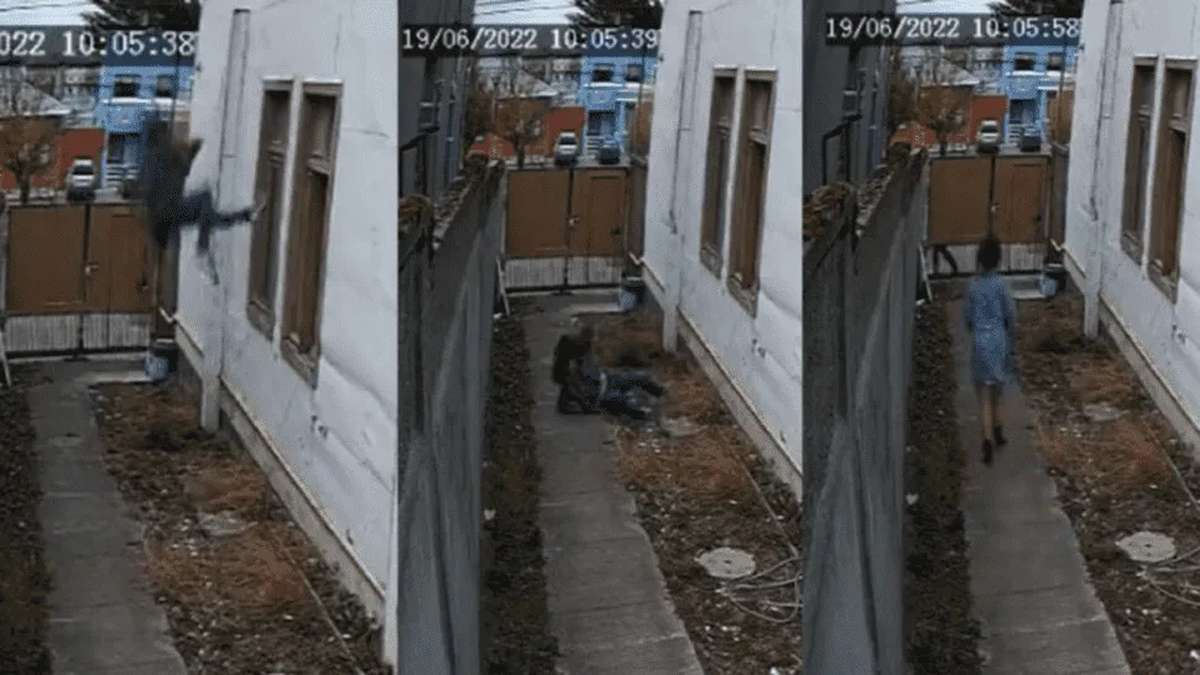 El insólito hecho ocurrió en un prostíbulo clandestino de Punta Arenas, en Chile.