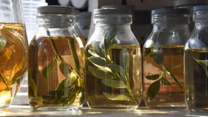 Paso a paso: cómo es el ritual de la caña con ruda