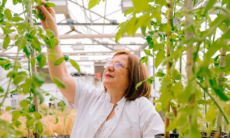 La investigadora Raquel Chan recibió el premio internacional L’Oréal-UNESCO “Por las Mujeres en la Ciencia” y aseguró que el reconocimiento también pone en valor a la ciencia argentina. La investigadora Raquel Chan recibió el premio internacional L’Oréal-UNESCO “Por las Mujeres en la Ciencia” y aseguró que el reconocimiento también pone en valor a la ciencia argentina.