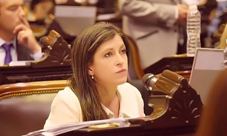 La diputada Fernanda Vallejos, del Frente de Todos, pidió disculpas a los compañeros que agravió. La diputada Fernanda Vallejos, del Frente de Todos, pidió disculpas a los compañeros que agravió.