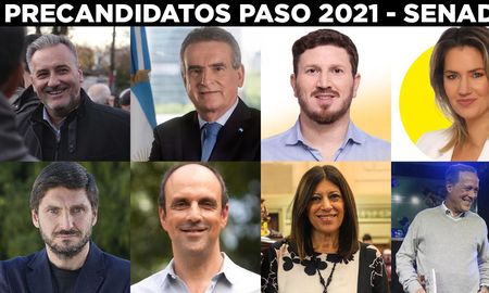 Estos son los principales candidatos que se enfrenarán en las Paso para posicionarse como candidatos para las tres bancas que renueva Santa Fe en el Senado. Estos son los principales candidatos que se enfrenarán en las Paso para posicionarse como candidatos para las tres bancas que renueva Santa Fe en el Senado.