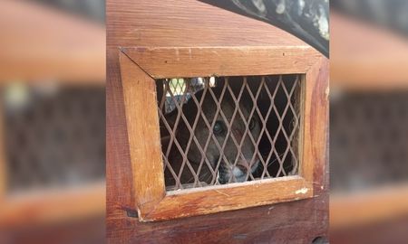 Personal especializado de la Policía Ecológica controló la situación. Personal especializado de la Policía Ecológica controló la situación.