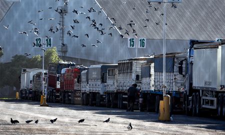 Cada año, 1.8 millones de camiones llegan a los puertos del Gran Rosario a través de rutas nacionales destrozadas. Cada año, 1.8 millones de camiones llegan a los puertos del Gran Rosario a través de rutas nacionales destrozadas.