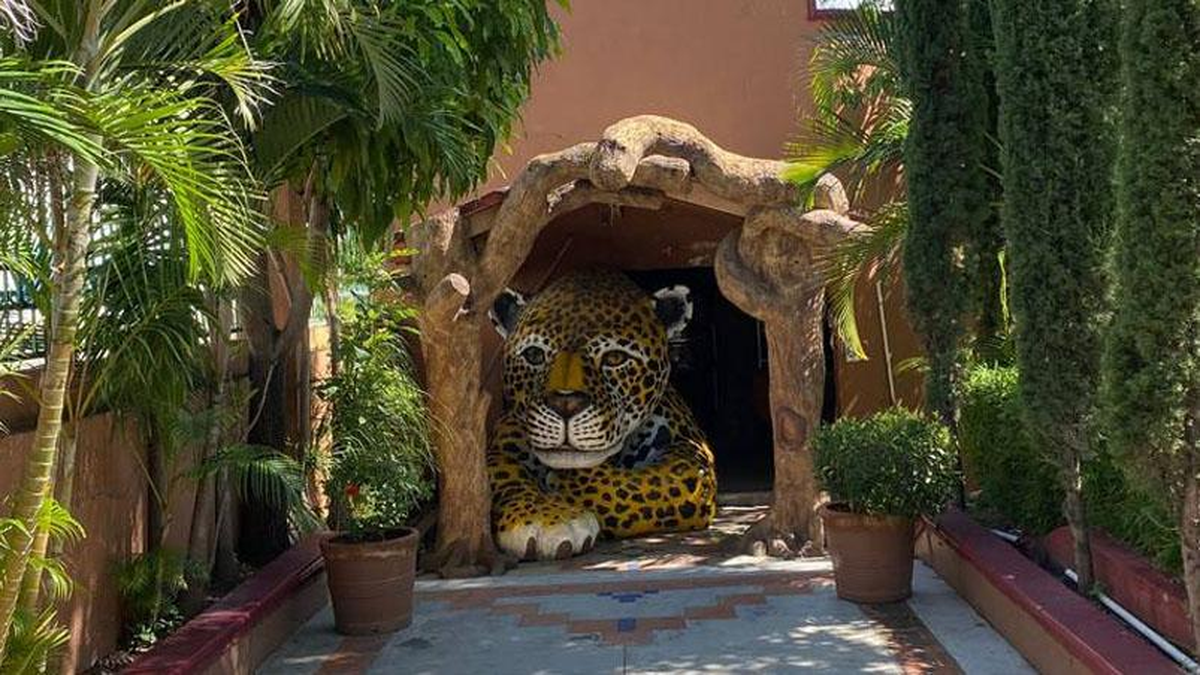 Las especies fueron usadas para una fiesta de fin de año.