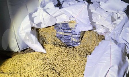 La droga se encontraba oculta en bolsas de grano que iban a ser exportadas. La droga se encontraba oculta en bolsas de grano que iban a ser exportadas.