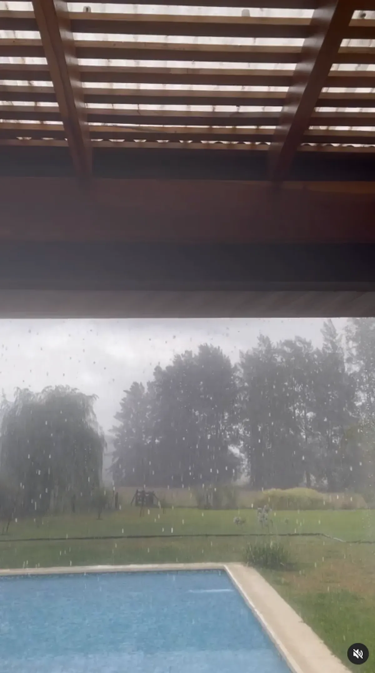 Así es la casa de Viviana Canosa.