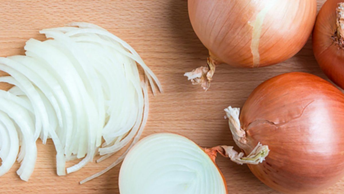 La cebolla es una planta herb&aacute;cea bienal perteneciente a la familia de las amarilid&aacute;ceas.