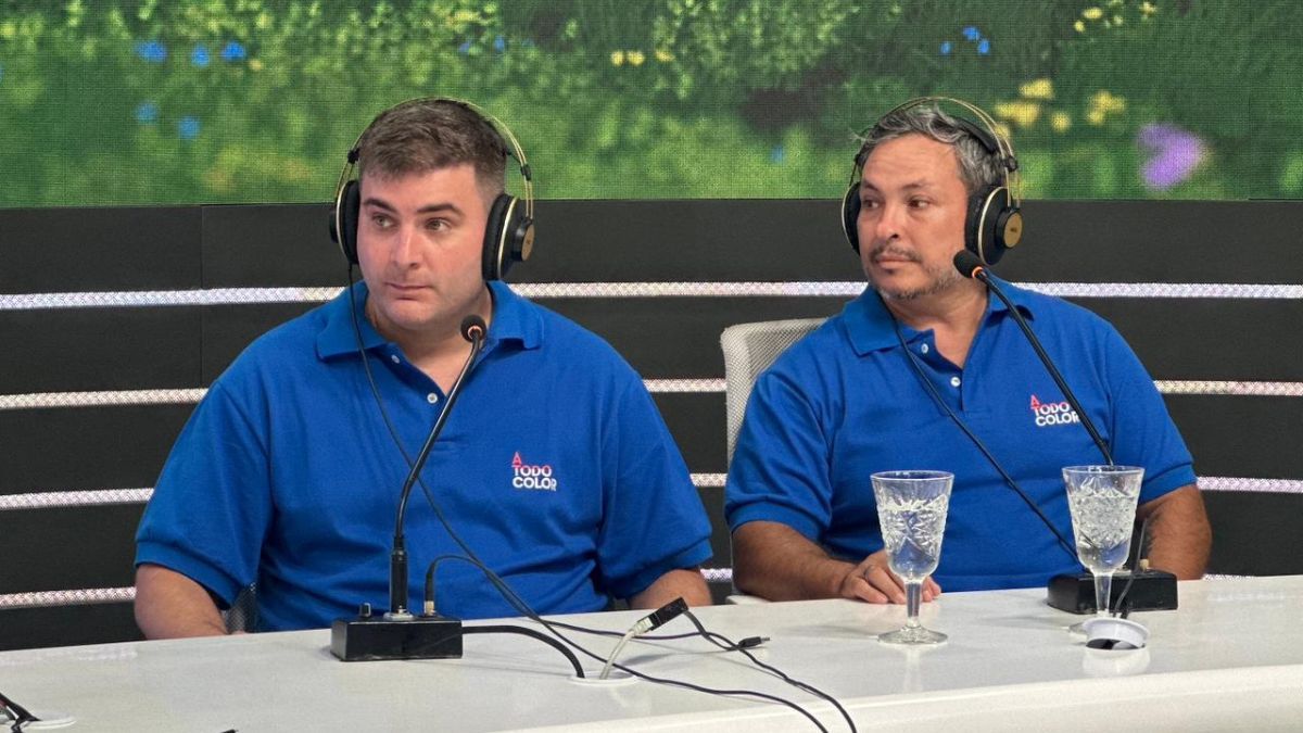 Especialistas de la pinturería A Todo Color explicaron en AIRE cómo aplicar correctamente pintura antihumedad.