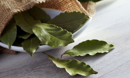 Hojas de laurel en las brasas, el toque secreto que todo parrillero conoce. Hojas de laurel en las brasas, el toque secreto que todo parrillero conoce.