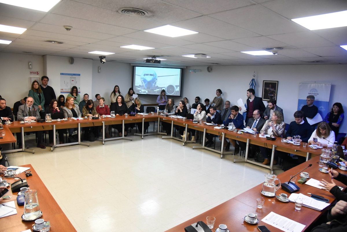 Desde Juntos por el Cambio hicieron saber sus disconformidades con la forma y el fondo de la cuestión planteada por el oficialismo. Desde Juntos por el Cambio hicieron saber sus disconformidades con la forma y el fondo de la cuestión planteada por el oficialismo.