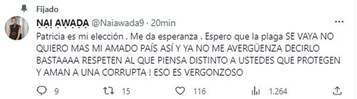 Nai Awada apoyó a Patricia Bullrich. (Captura de Twitter) Nai Awada apoyó a Patricia Bullrich. (Captura de Twitter)
