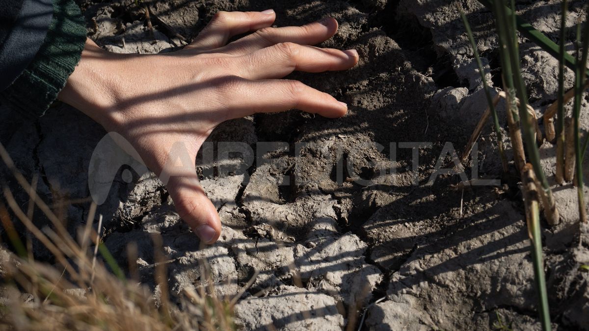 En la reserva se encuentran con frecuencia huellas de aguará guazú, aguará popé y pumas, entre otros animales..