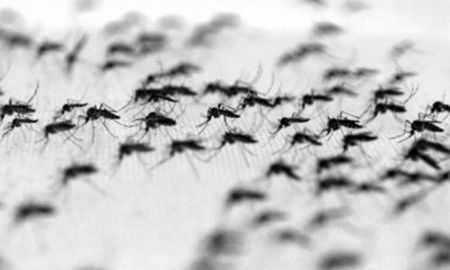 Aire de Santa Fe | MOSQUITOSDOS.jpg