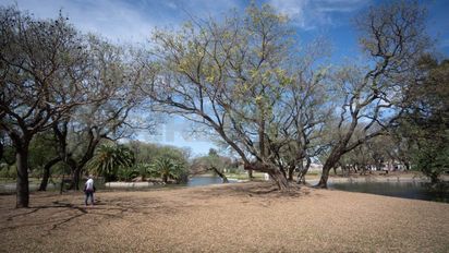 Los vecinos, entusiasmados por la obra del Parque Garay: 