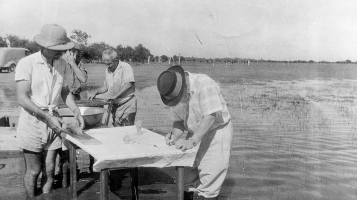 Desde su creación, el Inali se aboca al estudio del río Paraná y su cuenca y, además, proyecta su trabajo a todos los medios fluviales y lacustres de Argentina.