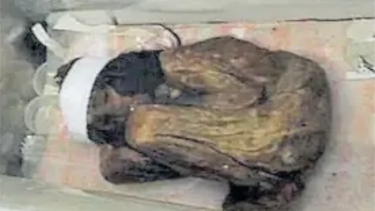 Juan Carlos Pierobon contó cómo encontraron la momia del Aconcagua en una expedición andinista de 1985.