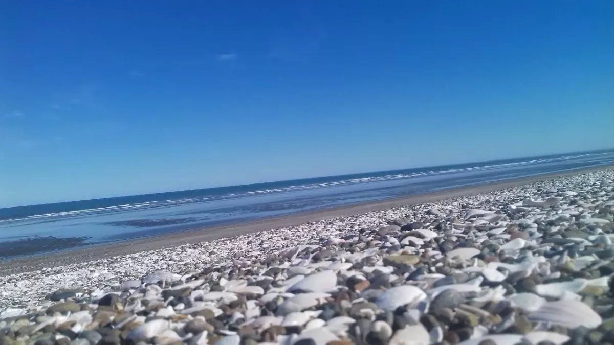 Cuáles son las playas imperdibles que se encuentra en la Costa Atlántica en Río Negro