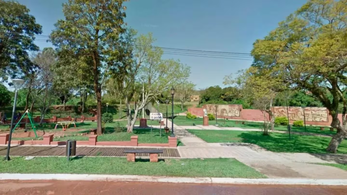 Trágico incidente en Corrientes: fallece un jubilado por ataque de abejas