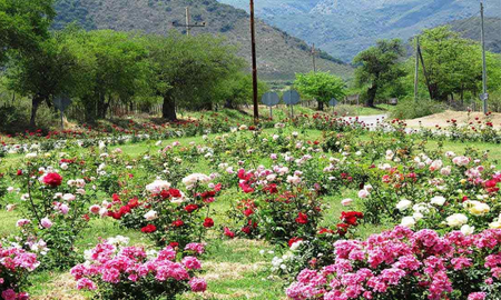 Villa de las Rosas, un maravilloso y pequeño pueblo con hermosos jardines. Villa de las Rosas, un maravilloso y pequeño pueblo con hermosos jardines.