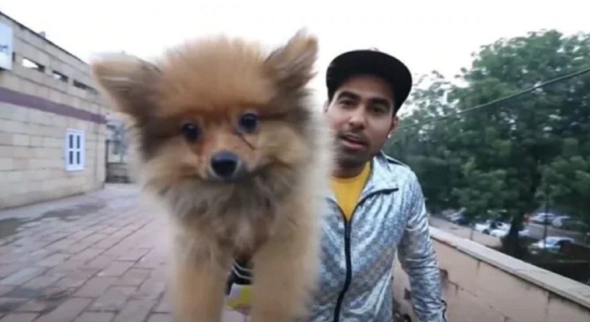 Video viral: un youtuber ató un perro a unos globos con helio y luego fue detenido por la policía.