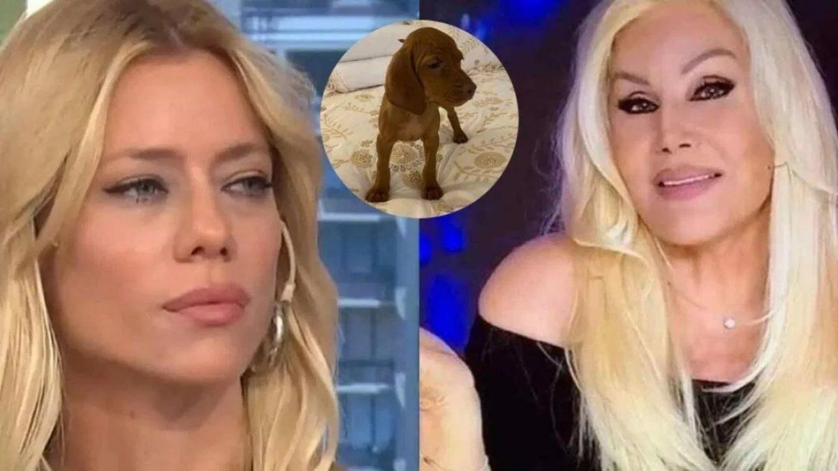 Nicole dice que sabe de donde sali&oacute; esa versi&oacute;n.