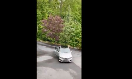 video: un oso abrio la puerta de un mercedes-benz video: un oso abrio la puerta de un mercedes-benz